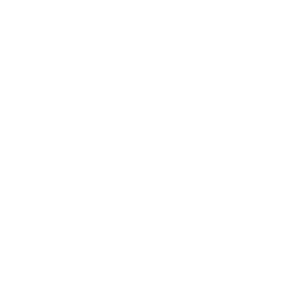 El Toro de Andalucia